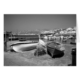 Pelican en boten (BandW)