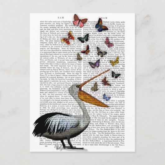 Pelican en Butterflies Briefkaart (Voorkant)