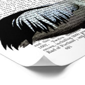 Pelican en Butterflies Poster (Hoek)