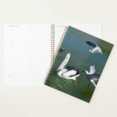 Pelican En De  Ongewenste Gasten,  Planner (Display)