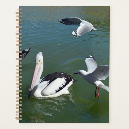 Pelican En De  Ongewenste Gasten,  Planner (Voorkant)