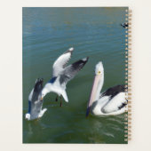 Pelican En De  Ongewenste Gasten,  Planner (Achterkant)