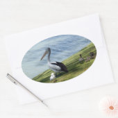 Pelican en eenden, ovale sticker (Envelop)