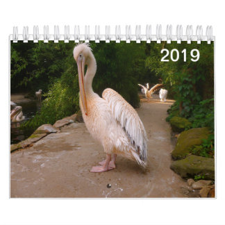 Pelican en Peacock Calendar. Kalender