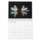 Pelican en Peacock Calendar. Kalender (Jan 2027)