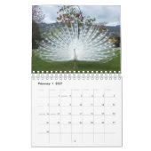 Pelican en Peacock Calendar. Kalender (Feb 2027)