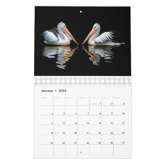 Pelican en Peacock Calendar. Kalender (Jan 2026)