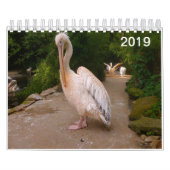 Pelican en Peacock Calendar. Kalender (Hoes)