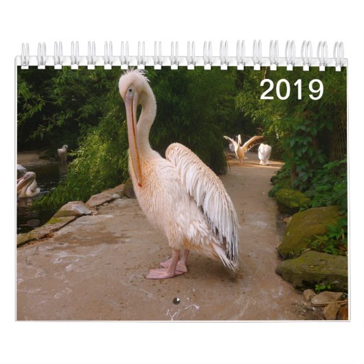 Pelican en Peacock Calendar. Kalender (Hoes)