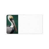 Pelican Etiket (Voorkant)