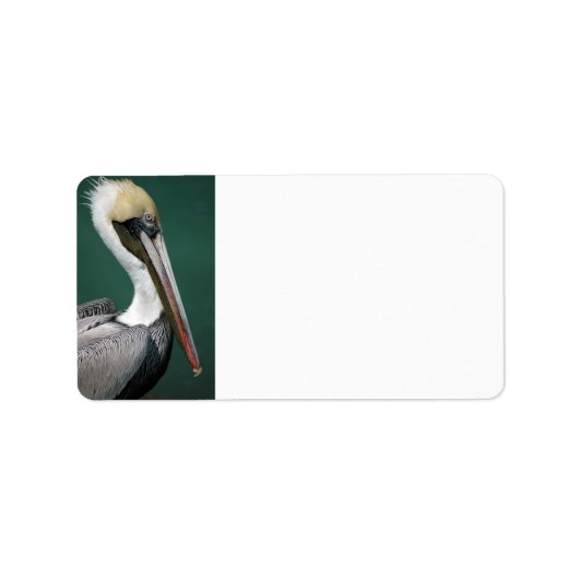 Pelican Etiket (Voorkant)