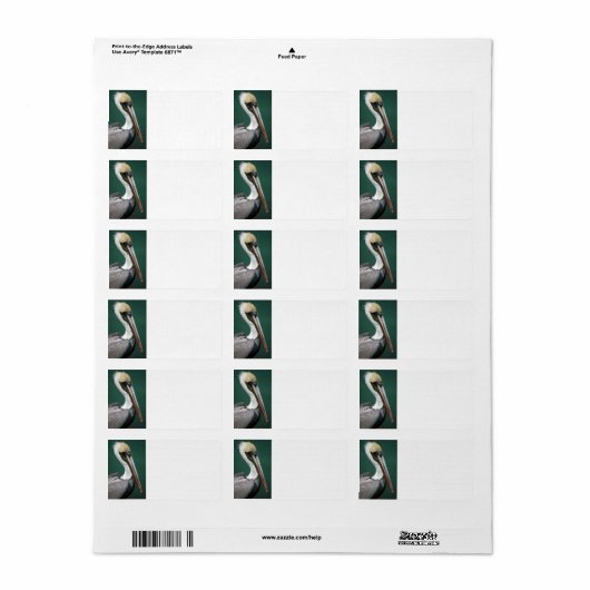 Pelican Etiket (Full Sheet)