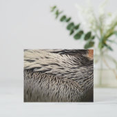 Pelican Feathers Abstracte Natuur Fotografie Briefkaart (Staand voorkant)