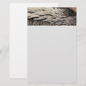 Pelican Feathers Abstracte Natuur Fotografie Briefpapier (Voorkant / Achterkant)