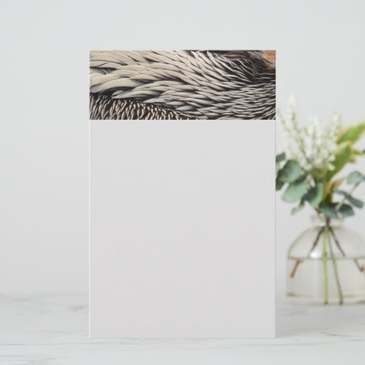 Pelican Feathers Abstracte Natuur Fotografie Briefpapier (Staand voorkant)