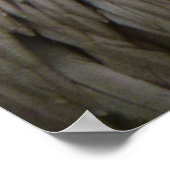 Pelican Feathers Abstracte Natuur Fotografie Poster (Hoek)