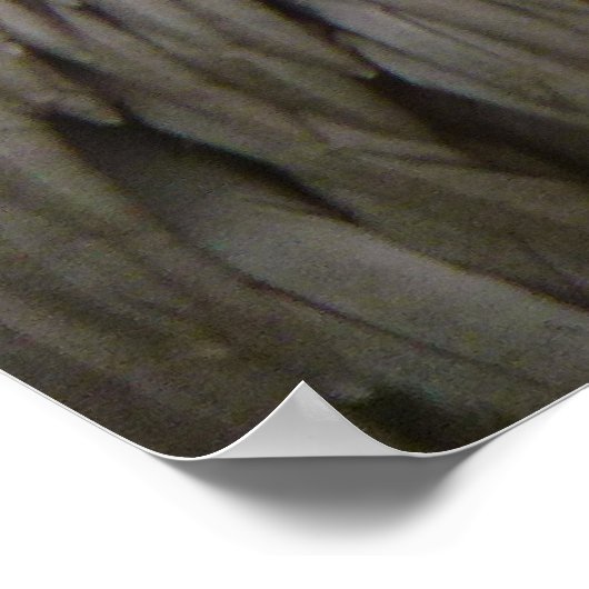 Pelican Feathers Abstracte Natuur Fotografie Poster (Hoek)