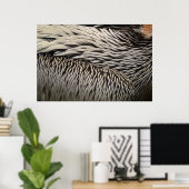 Pelican Feathers Abstracte Natuur Fotografie Poster (Thuiskantoor)