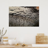 Pelican Feathers Abstracte Natuur Fotografie Poster (Keuken)