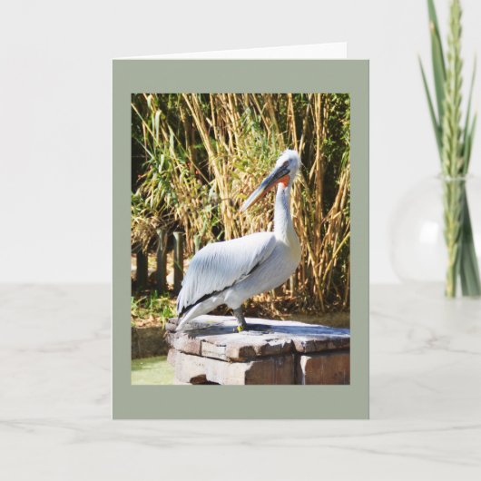 Pelican Feestdagen Kaart (Voorkant)