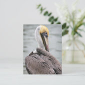 Pelican Flat Card Feestdagenkaart (Staand voorkant)