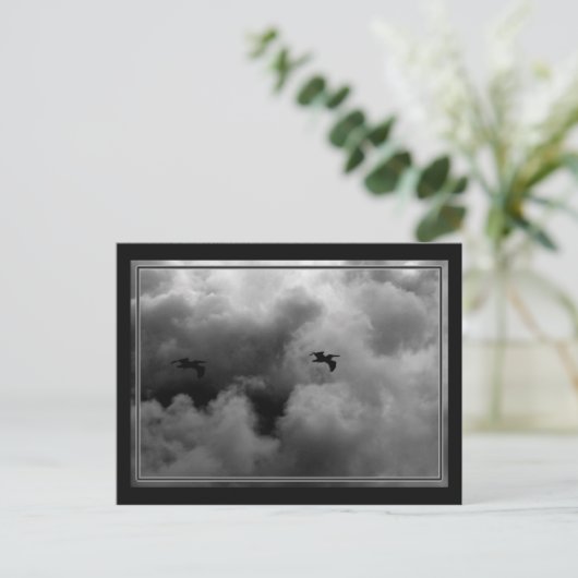 Pelican Flight Briefkaart (Staand voorkant)