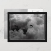 Pelican Flight Briefkaart (Voorkant / Achterkant)