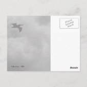 Pelican Flight Briefkaart (Achterkant)