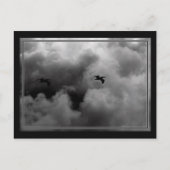 Pelican Flight Briefkaart (Voorkant)