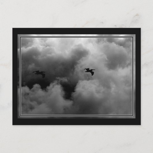 Pelican Flight Briefkaart (Voorkant)