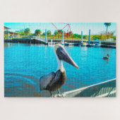 Pelican Florida Legpuzzel (Horizontaal)