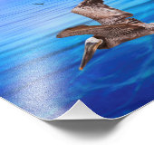 Pelican Flyby Island Sunset Foto Afdruk (Hoek)