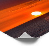 Pelican Flying Poster (Hoek)