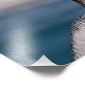 Pelican Foto Afdruk (Hoek)