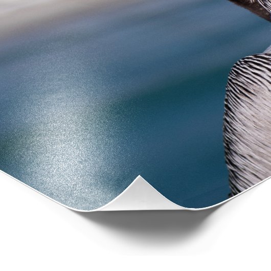 Pelican Foto Afdruk (Hoek)