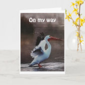PELICAN GAAT NAAR ZEGGEN *HAPPY BIRTHDAY* KAART (Gele Bloem)