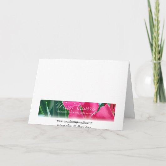 Pelican Gliding Kaart (Achterkant)