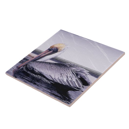 Pelican Gliding Tegeltje (Zijkant)