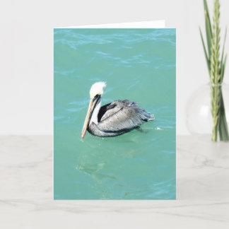 Pelican. Greeting Card Kaart