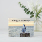 Pelican Greetings Briefkaart (Staand voorkant)