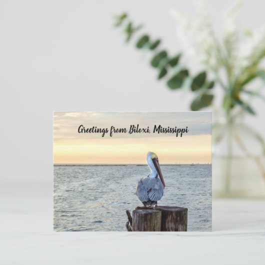 Pelican Greetings Briefkaart (Staand voorkant)