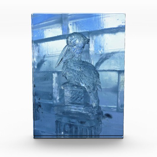 Pelican Ice Sculpture, Quebec, Canada Fotoblokken (Voorkant)