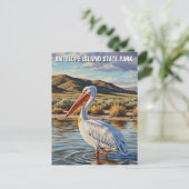 Pelican in Antelope Island State Park Utah Briefkaart (Staand voorkant)