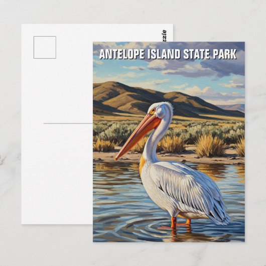 Pelican in Antelope Island State Park Utah Briefkaart (Voorkant / Achterkant)
