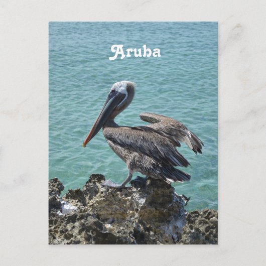 Pelican in Aruba Briefkaart (Voorkant)