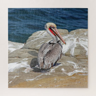 Pelican in de oceaan legpuzzel