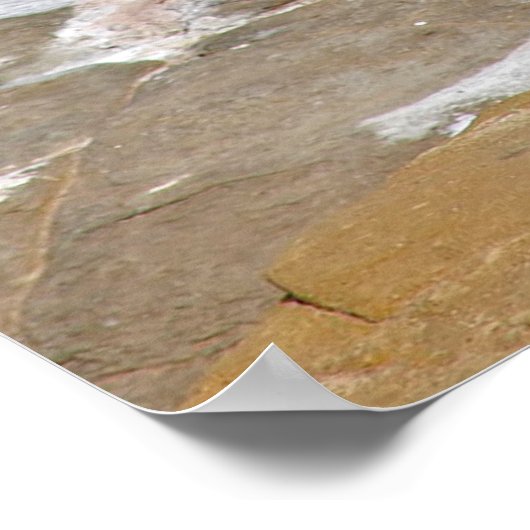 Pelican in de oceaan poster (Hoek)