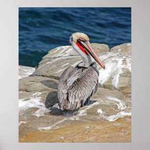 Pelican in de oceaan poster