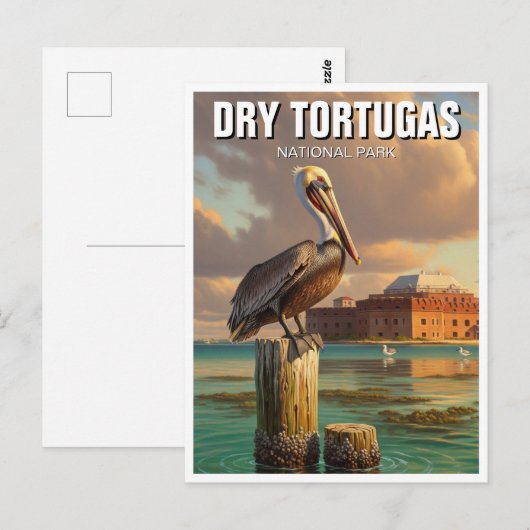Pelican in Dry Tortugas National Park Briefkaart (Voorkant / Achterkant)