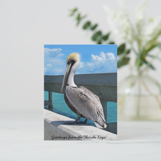 Pelican in het briefkaart van Florida Keys (Staand voorkant)